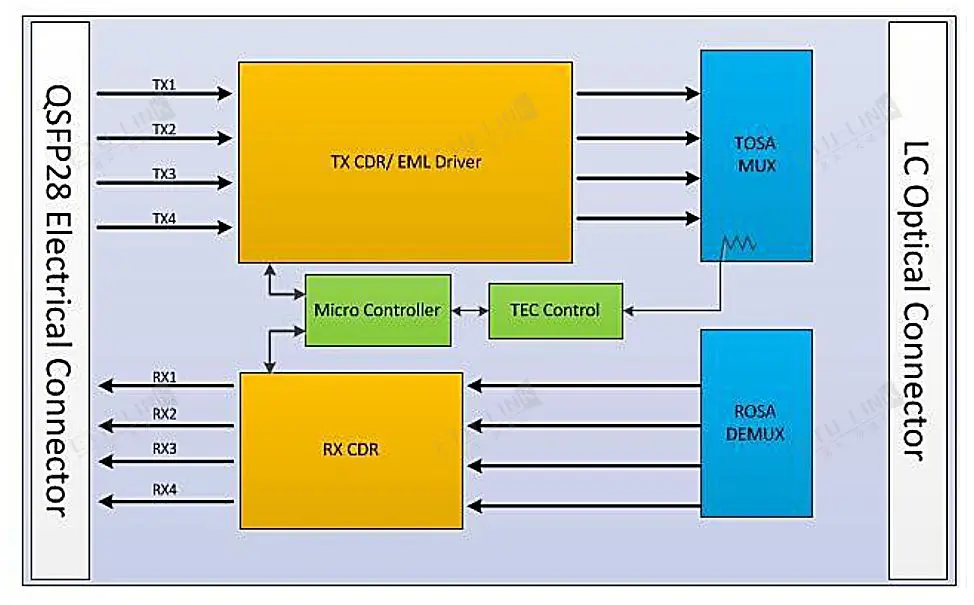 Analysis of the Advantages (3).jpg