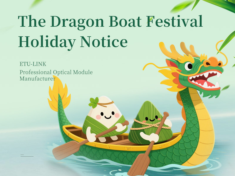 Dragon Boat Festival Holiday - Zongzi Enjoyment
